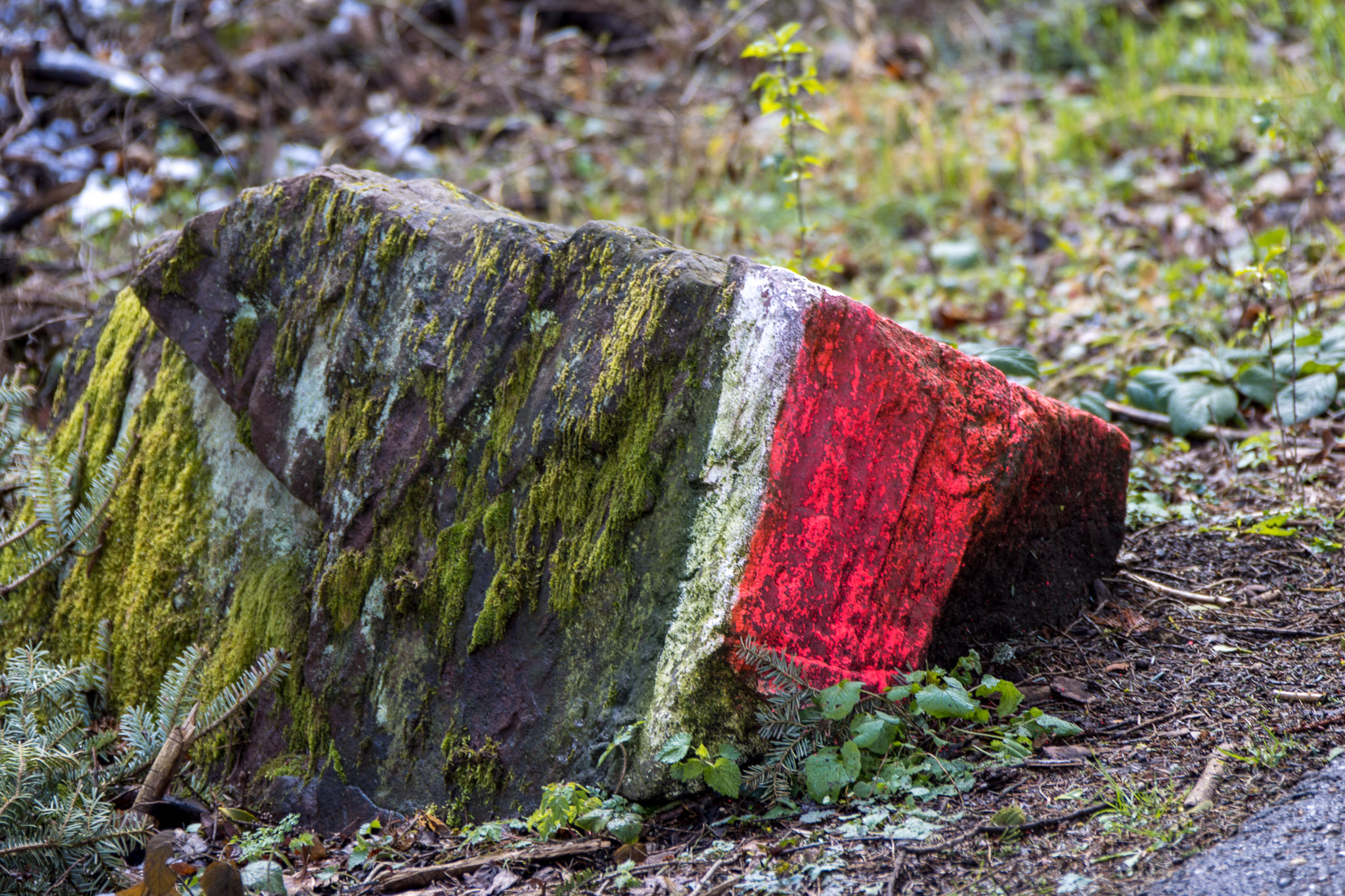 20220409143527 R5D 1326